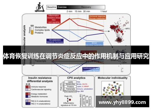 体育恢复训练在调节炎症反应中的作用机制与应用研究